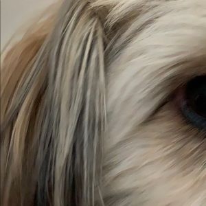 Meet your Posher, Christopher